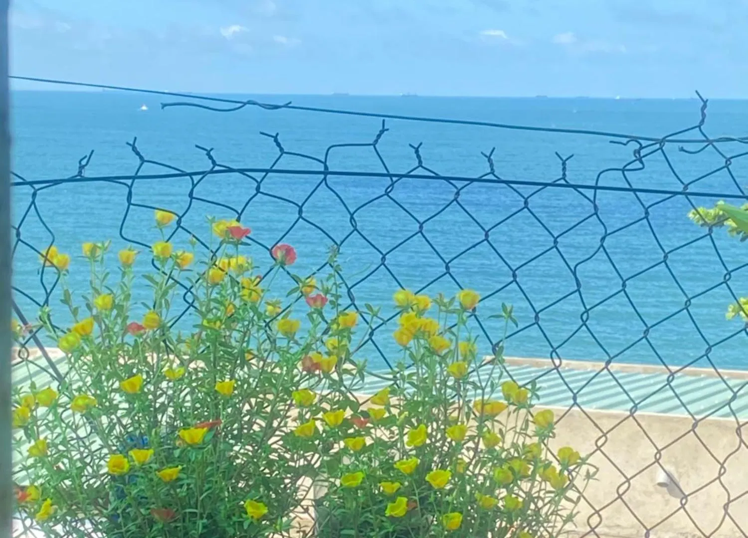 Son Thinh Hotel-Hosted By Thuy.0 Chin Ba Tam Mot Hai Bon Bay Tam Khong Vung Tau Vietnam